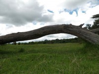 /album/fotos-afrika/sam-0640-small-jpg/